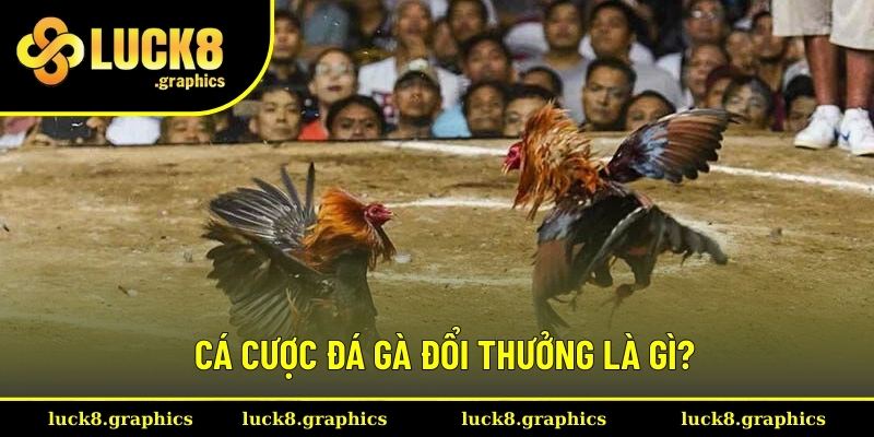 Định nghĩa về cá cược đá gà đổi thưởng
