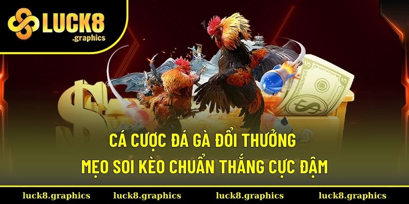 Cá cược đá gà đổi thưởng