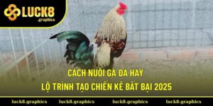 Cách nuôi gà đá hay