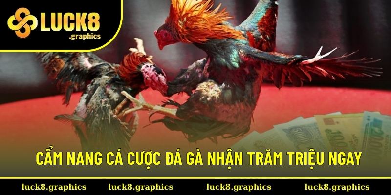 Bí kíp thắng lớn khi cá cược đá gà