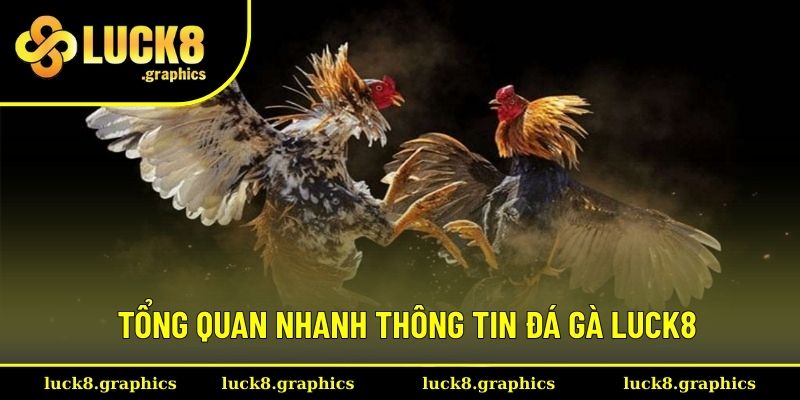 Tổng quan nhanh thông tin bộ môn đá gà Luck8 Tổng quan nhanh thông tin bộ môn đá gà Luck8