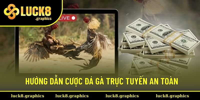 Chia sẻ cách để cá cược đá gà online an toàn