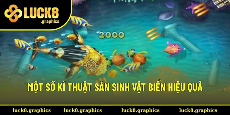 Những kĩ thuật bắn cá hiệu quả mà bạn không nên bỏ qua