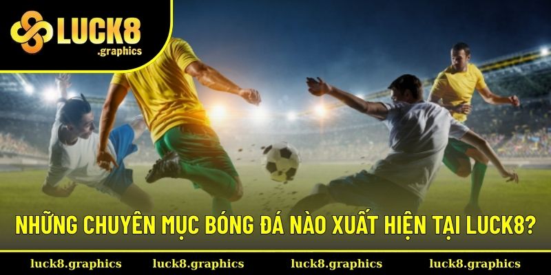 Những chuyên mục mới nhất luôn được cập nhật