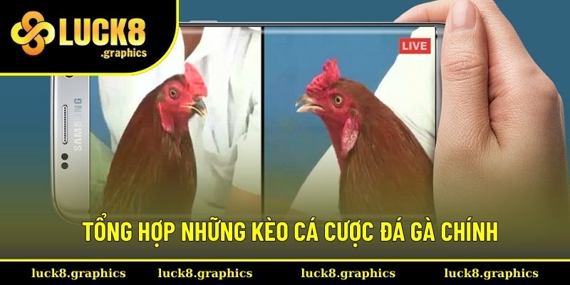 Danh sách 3 kèo đá gà trực tuyến chính