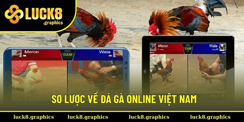 Giới thiệu về đá gà online Việt Nam