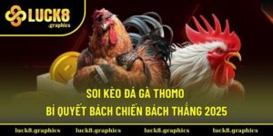 Soi kèo đá gà Thomo