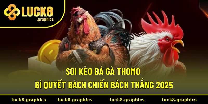 Soi kèo đá gà Thomo